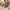 https://res.cloudinary.com/billionhands/image/upload/v1775034834/items/vh1jkaiwkwhdfrmggam5.jpg-3cover