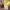 https://res.cloudinary.com/billionhands/image/upload/v1775035092/items/vfofw5nylha2bzd4jk5b.webp-0cover