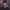 https://res.cloudinary.com/billionhands/image/upload/v1775035271/items/hdqarbgavschogfbwxes.webp-1cover