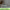 https://res.cloudinary.com/billionhands/image/upload/v1775035334/items/qbfhaq0pvsejxlljllf3.png-2cover