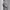 https://res.cloudinary.com/billionhands/image/upload/v1775035670/items/wuhs2rfcayt0bxyf3fp7.jpg-0cover