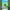 https://res.cloudinary.com/billionhands/image/upload/v1775035677/items/x1ftekvkqm25nhe4myj5.jpg-1cover