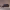 https://res.cloudinary.com/billionhands/image/upload/v1775035890/items/tpbeofkp8vpqmvs7d69n.avif-2cover