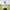 https://res.cloudinary.com/billionhands/image/upload/v1775036302/items/ffgpfen89bhknctppu3u.webp-1cover