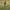 https://res.cloudinary.com/billionhands/image/upload/v1775036303/items/zxvacxghddahebyakcub.jpg-2cover