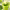 Cucumber, Apple, and Mint Detox Smoothie cover