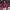Bruno Fernandes (Manchester United) cover