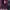 https://res.cloudinary.com/billionhands/image/upload/v1775037000/items/ou8qze6u16rz5xulzomg.webp-0cover