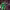 https://res.cloudinary.com/billionhands/image/upload/v1775037777/items/kcf9hwbvl7azr5hhkg05.jpg-1cover