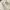 https://res.cloudinary.com/billionhands/image/upload/v1775038195/items/nnu1ueuvd5vj7ccswfkx.webp-3cover