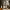 https://res.cloudinary.com/billionhands/image/upload/v1775038650/items/vns2ohqqtzob10g2lazh.jpg-2cover