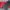 https://res.cloudinary.com/billionhands/image/upload/v1775038683/items/nbkbwjoh8mnbbyqwxiuj.jpg-2cover
