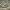 https://res.cloudinary.com/billionhands/image/upload/v1775039142/items/pbfdudyolk5e7bvwoaj6.jpg-3cover