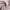 https://res.cloudinary.com/billionhands/image/upload/v1775039148/items/zw3amawslvaqhfpmy5qh.jpg-2cover