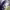 https://res.cloudinary.com/billionhands/image/upload/v1775039809/items/gf4hmjpocjsorhmhrnhx.webp-2cover