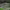 https://res.cloudinary.com/billionhands/image/upload/v1775039810/items/sof2rvhyyircntmfrlvf.jpg-2cover