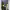 https://res.cloudinary.com/billionhands/image/upload/v1775040263/items/rploogkvkgmcioxoubtw.webp-3cover