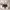 https://res.cloudinary.com/billionhands/image/upload/v1775040485/items/b8ktbzjpdlgb66yt3k98.jpg-1cover