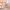 https://res.cloudinary.com/billionhands/image/upload/v1775040854/items/ooobpmsutih2mleluvxk.jpg-0cover