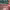 https://res.cloudinary.com/billionhands/image/upload/v1775040924/items/ekl34c1uraofrdelisto.jpg-2cover