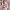 https://res.cloudinary.com/billionhands/image/upload/v1775041574/items/vdv5wh0wivrfm0yokzvy.webp-3cover
