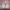 https://res.cloudinary.com/billionhands/image/upload/v1775042013/items/oks0ezub6hlpkqwhoqia.webp-1cover