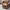 https://res.cloudinary.com/billionhands/image/upload/v1775042716/items/rqu2x6kocaaqb7w4at2k.jpg-0cover
