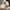 https://res.cloudinary.com/billionhands/image/upload/v1775043014/items/r4n1p0mpobyjxok4x7vs.png-0cover