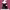 https://res.cloudinary.com/billionhands/image/upload/v1775043166/items/eimzbhcf7i1ctmgkp9d8.webp-1cover