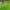 https://res.cloudinary.com/billionhands/image/upload/v1775043635/items/znx47n8btdiikyqiayz5.webp-1cover