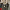 https://res.cloudinary.com/billionhands/image/upload/v1775043786/items/ycro8w5muqouu5gdyqf2.webp-0cover