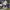 https://res.cloudinary.com/billionhands/image/upload/v1775044240/items/y2plsnmhhuls2z2zryxg.jpg-1cover