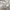 https://res.cloudinary.com/billionhands/image/upload/v1775044554/items/rvuy8mmhpvdhg3yy3jkw.avif-3cover