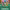 Will (Moonlighter series) cover