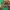 https://res.cloudinary.com/billionhands/image/upload/v1775044701/items/ercbpu1xvyvh51uxvxjf.jpg-3cover