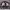 https://res.cloudinary.com/billionhands/image/upload/v1775045043/items/k4fjllxsxlls0wchk8cy.jpg-3cover