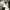 https://res.cloudinary.com/billionhands/image/upload/v1775046543/items/x8ovtilfd1ttyx2euebj.webp-3cover