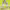 https://res.cloudinary.com/billionhands/image/upload/v1775046644/items/sru5peud6txrwqo0tejd.png-3cover