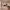 https://res.cloudinary.com/billionhands/image/upload/v1775046681/items/zwmapqv0xtqs1vgb1vth.webp-0cover