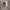 https://res.cloudinary.com/billionhands/image/upload/v1775046684/items/lbr6u1xsemijmxazdjq3.jpg-0cover