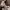 https://res.cloudinary.com/billionhands/image/upload/v1775047096/items/gnc2osnocvxpkn88z6sv.jpg-3cover