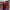 https://res.cloudinary.com/billionhands/image/upload/v1775047282/items/yfn1ojxbqeiupocdw0kp.jpg-0cover