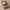 https://res.cloudinary.com/billionhands/image/upload/v1775047517/items/gxja2dydotuuthxsebge.webp-1cover