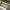 https://res.cloudinary.com/billionhands/image/upload/v1775047769/items/sb9wpv7s0faez3zzje55.jpg-2cover