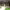 https://res.cloudinary.com/billionhands/image/upload/v1775047863/items/gfpl0tjwrsfgf72kuwyy.jpg-0cover