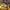 https://res.cloudinary.com/billionhands/image/upload/v1775047872/items/e9azilsr0bqsbfqno9wh.jpg-1cover