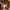 https://res.cloudinary.com/billionhands/image/upload/v1775048070/items/sbflsvtplur4embg2c0i.webp-2cover