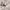 https://res.cloudinary.com/billionhands/image/upload/v1775048248/items/oxxkfzptjihfre7yaysa.webp-0cover