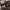 https://res.cloudinary.com/billionhands/image/upload/v1775048248/items/wbbhcuorrveupt0dod4p.png-3cover