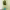 https://res.cloudinary.com/billionhands/image/upload/v1775049304/items/btdqj9lkwoloi5mwn7u3.webp-0cover